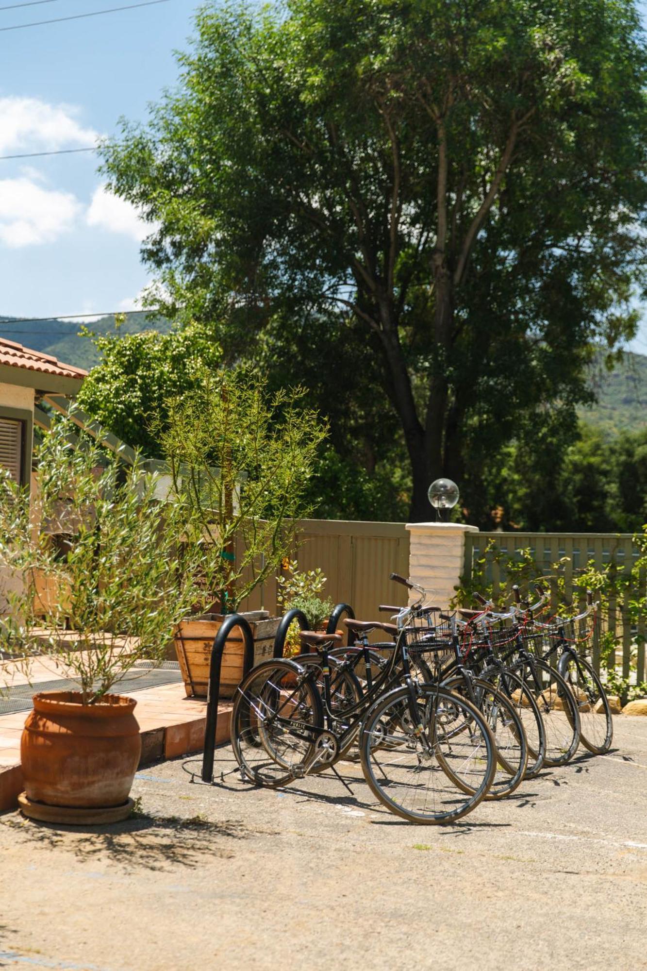Hummingbird Inn Ojai Dış mekan fotoğraf